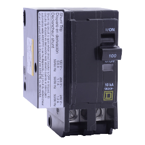 Schneider Electric Thermal Magnetic Circuit Breaker; 2-Pole; 125A; 120/240VAC; Lever; Box Lug Terminal; UL 489